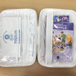 Porta Vacinação com nome Bebê 30×20