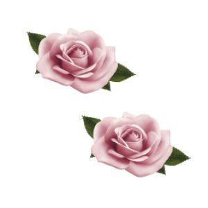 Flor rose